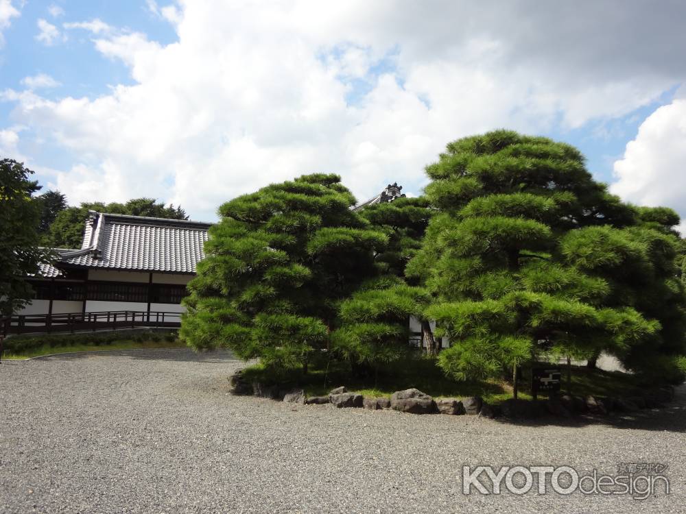 閑院宮邸跡　松と空