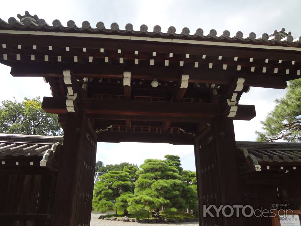 閑院宮邸跡  東門から見える松