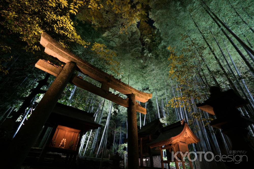 青蓮院、日吉社