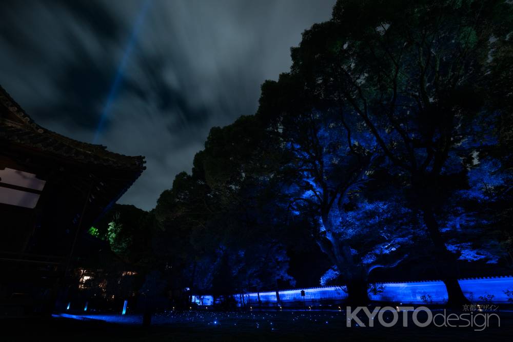 青蓮院ライトアップ②