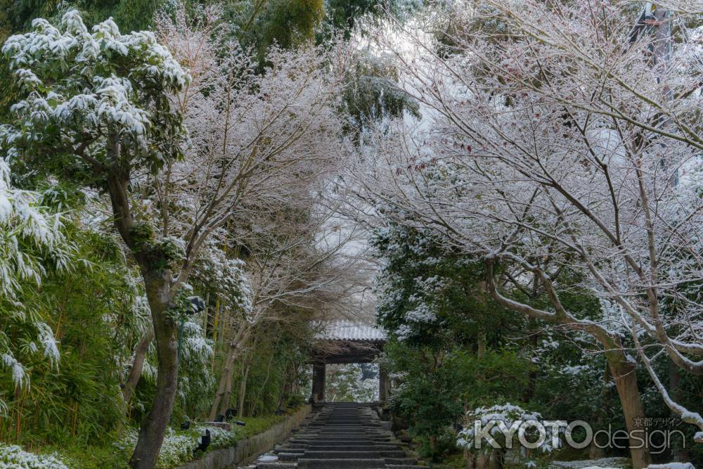 高台寺、石階段雪景色。