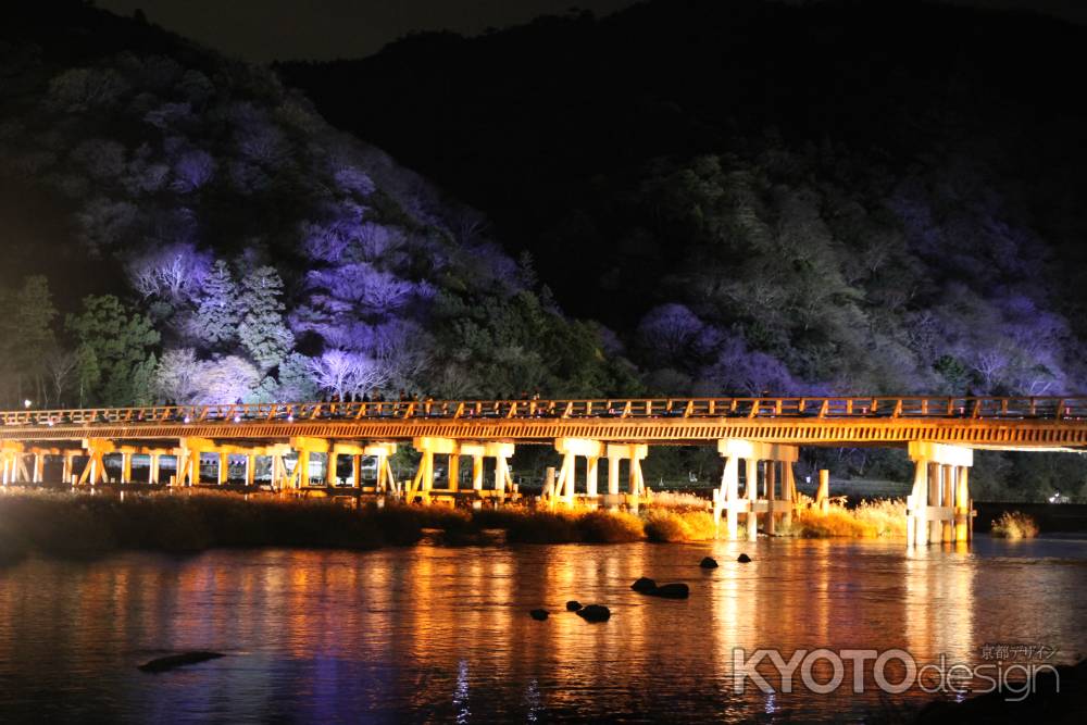 幻想的な嵐山花灯路