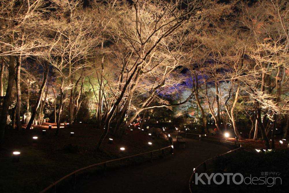 幻想的な雰囲気の獅子吼の庭