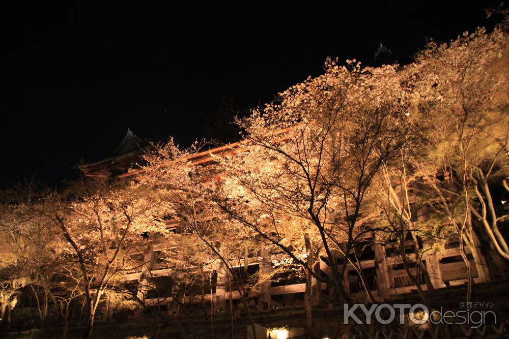 下から見上げる清水寺