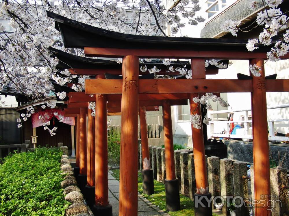 春の六孫王神社