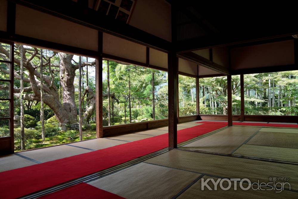 京都大原　宝泉院　額縁の庭園