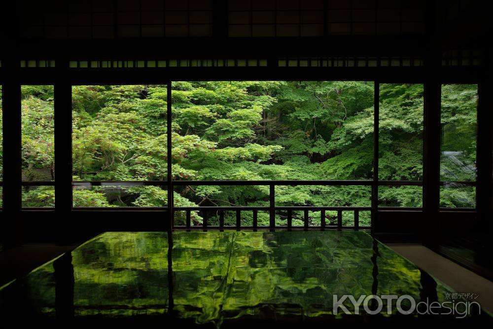 瑠璃光院　新緑の書院