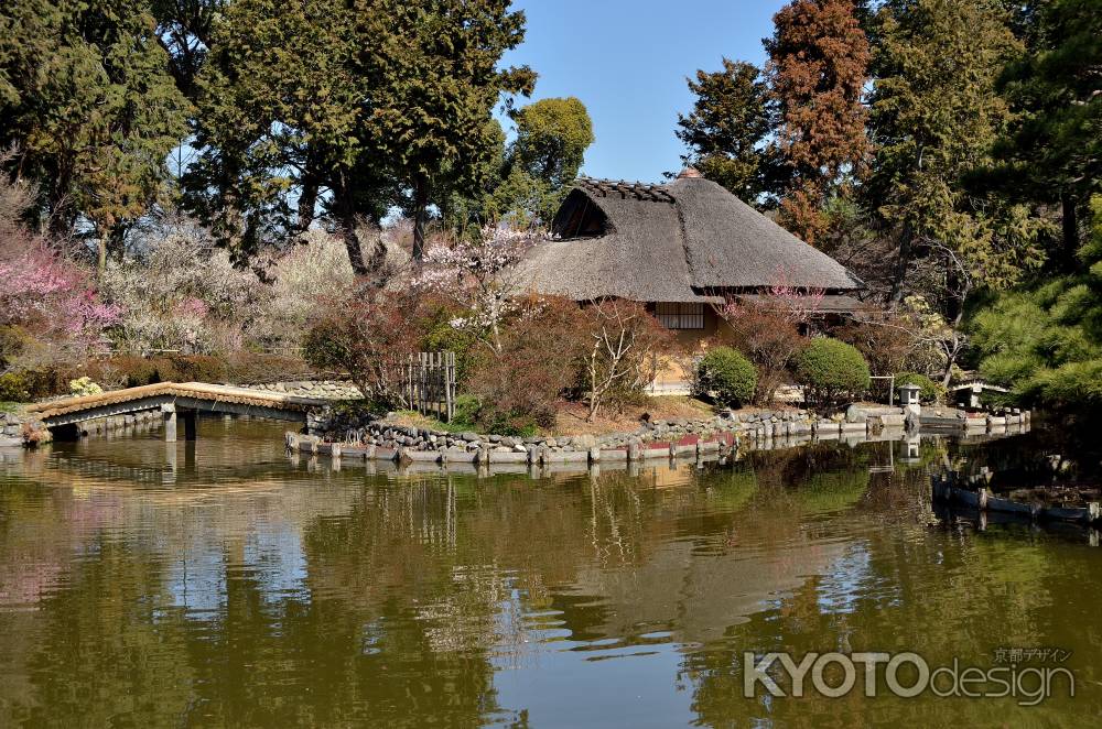 梅宮大社　（参集殿）