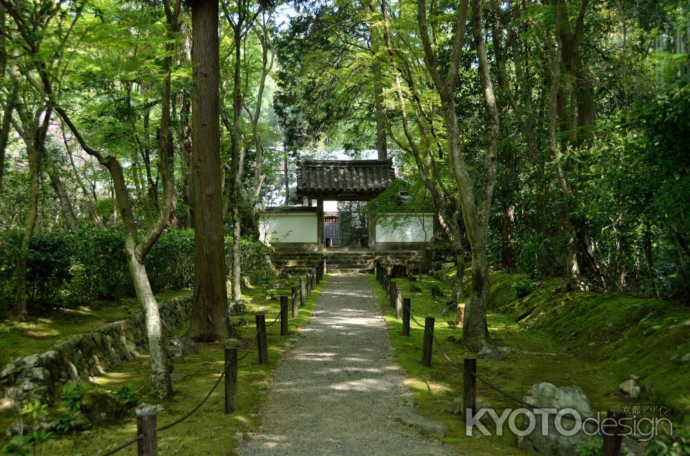 竹の寺　地蔵院