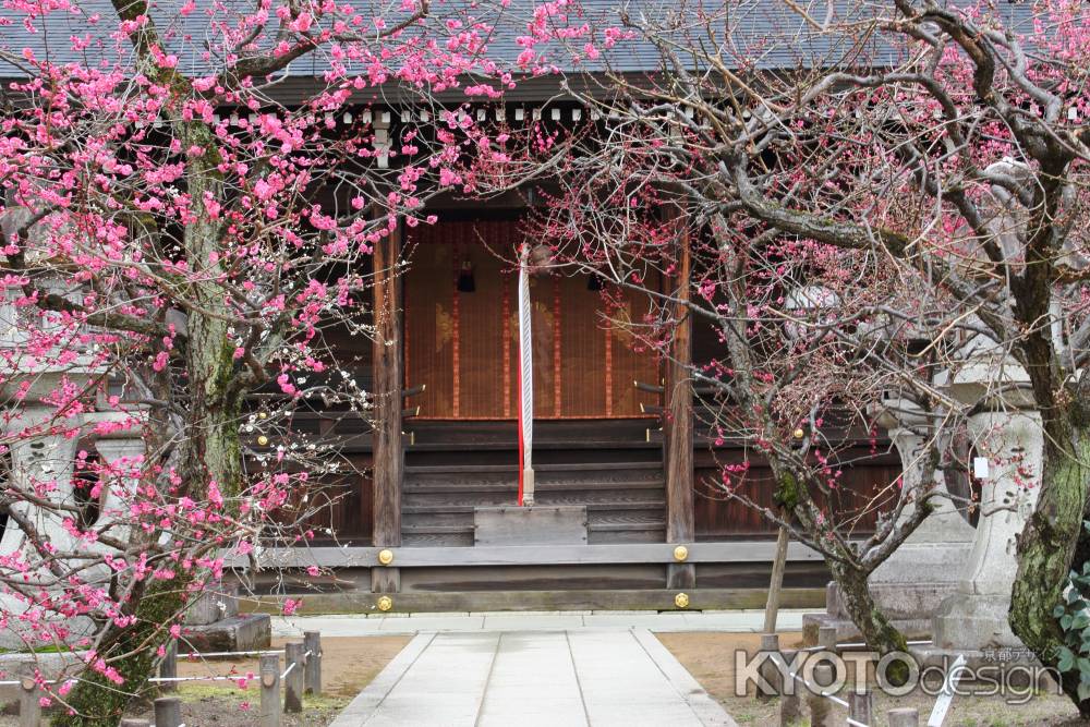 春の訪れを感じる北野天満宮