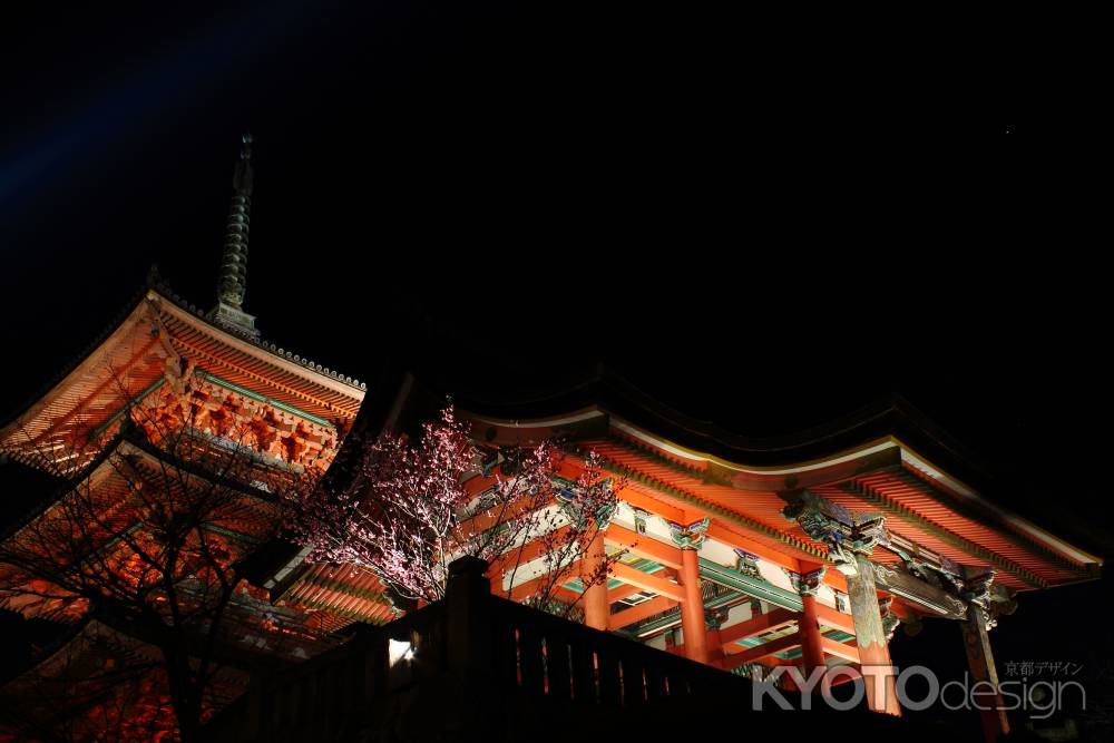 花灯路２０１３in清水寺４