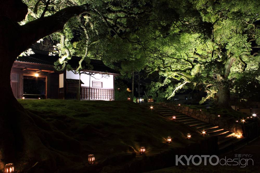 東山花灯路２０１３in青蓮院門跡２