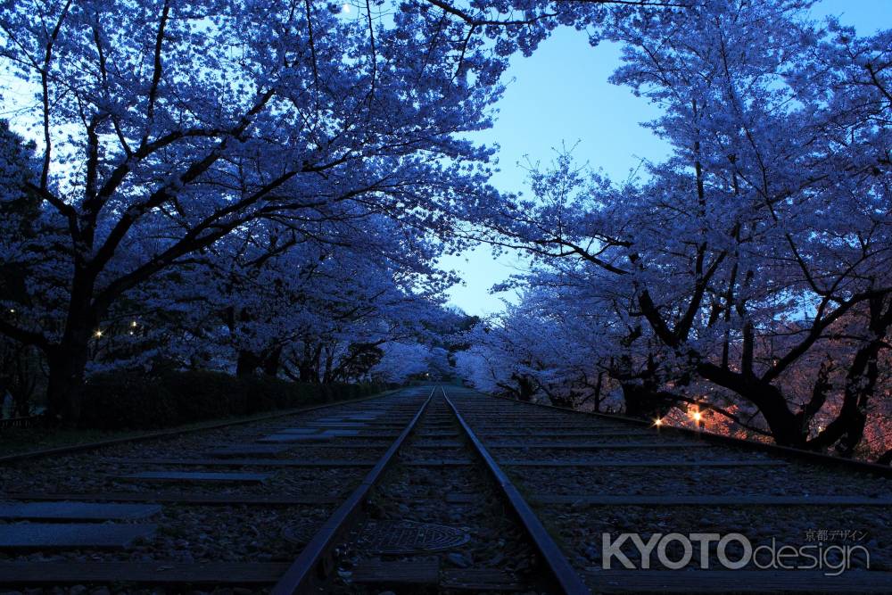 早春の蹴上インクライン１