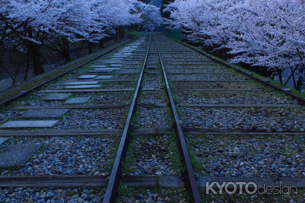 早春の蹴上インクライン２