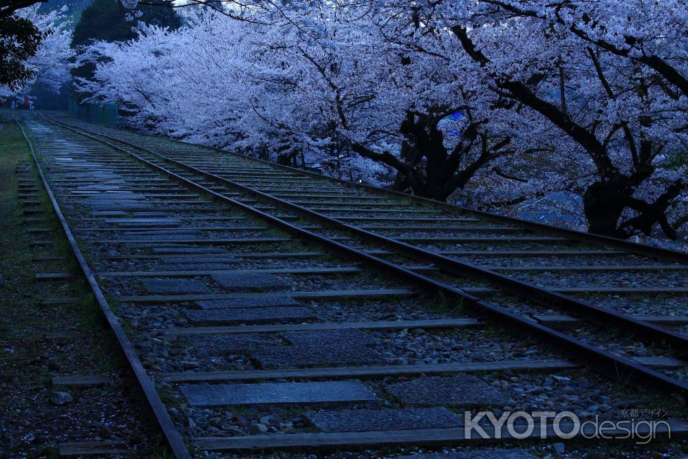 早春の蹴上インクライン３