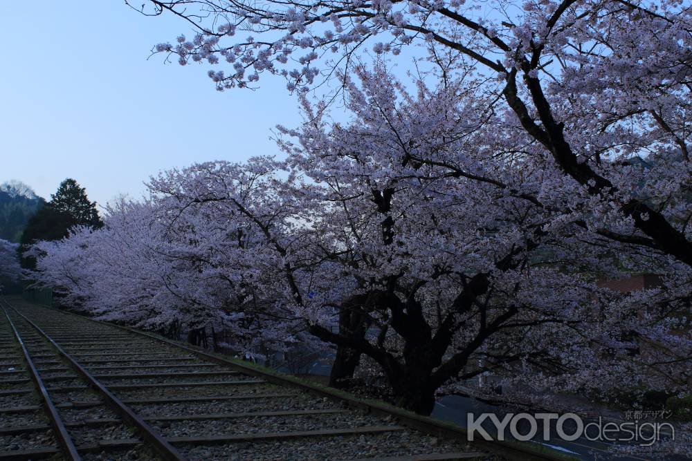 早春の蹴上インクライン５