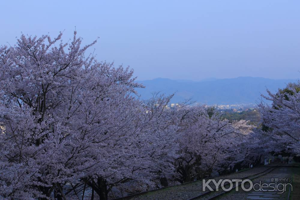 早春の蹴上インクライン６