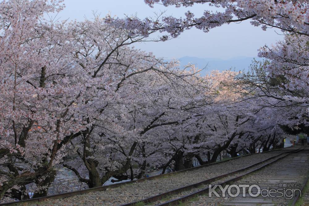 早春の蹴上インクライン７