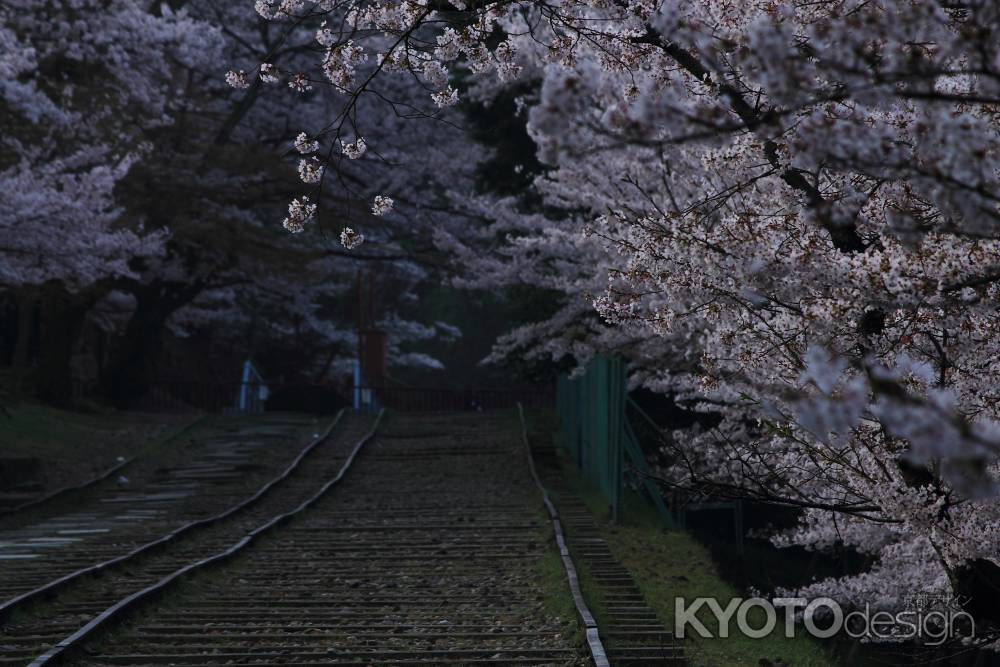 早春の蹴上インクライン９