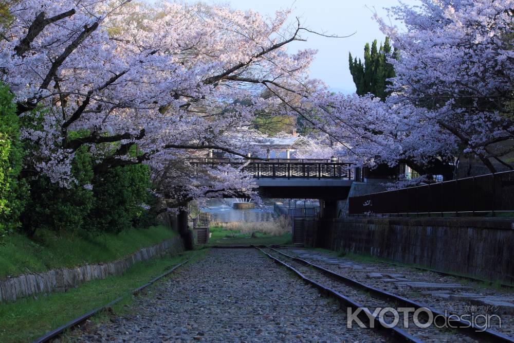 早春の蹴上インクライン１０