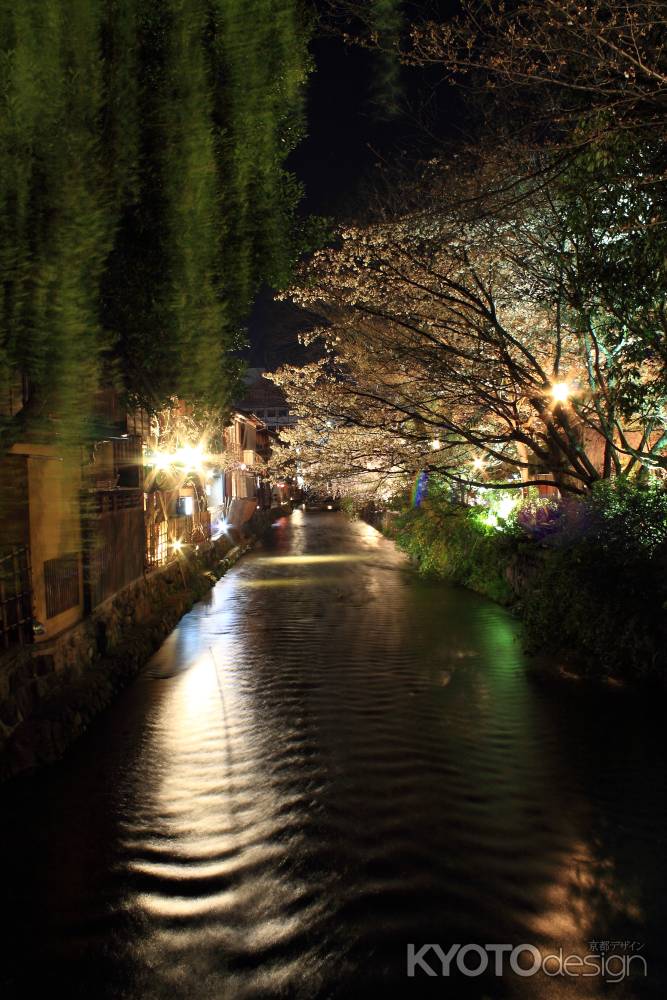桜が彩る祇園・白川１０