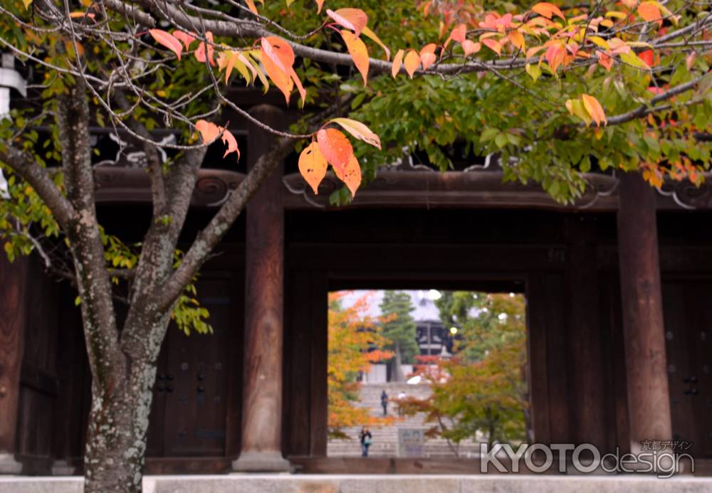 金戒光明寺・紅葉