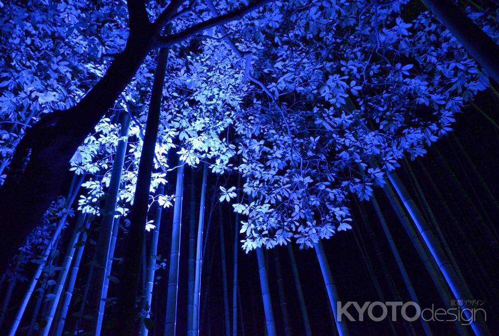 嵐山・花灯路２０１３（１）