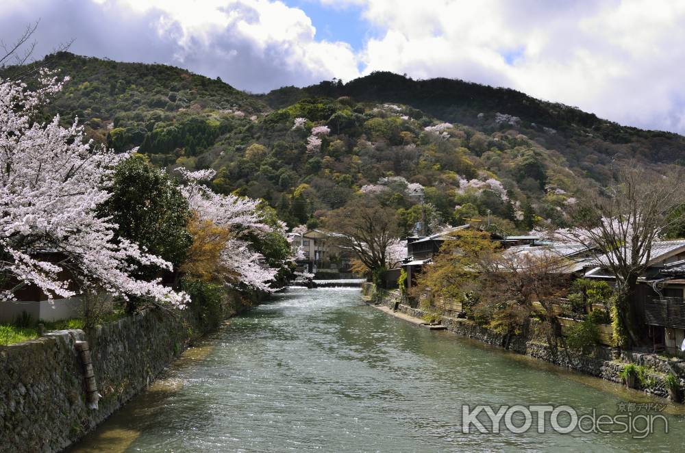 嵐山のメインではありませんが・・・
