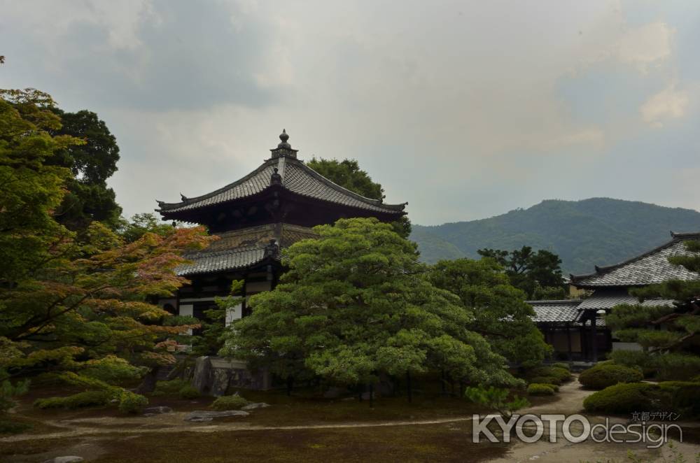 鹿王院・法堂を望む
