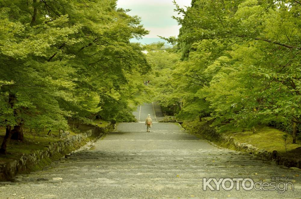 二尊院・アプローチ