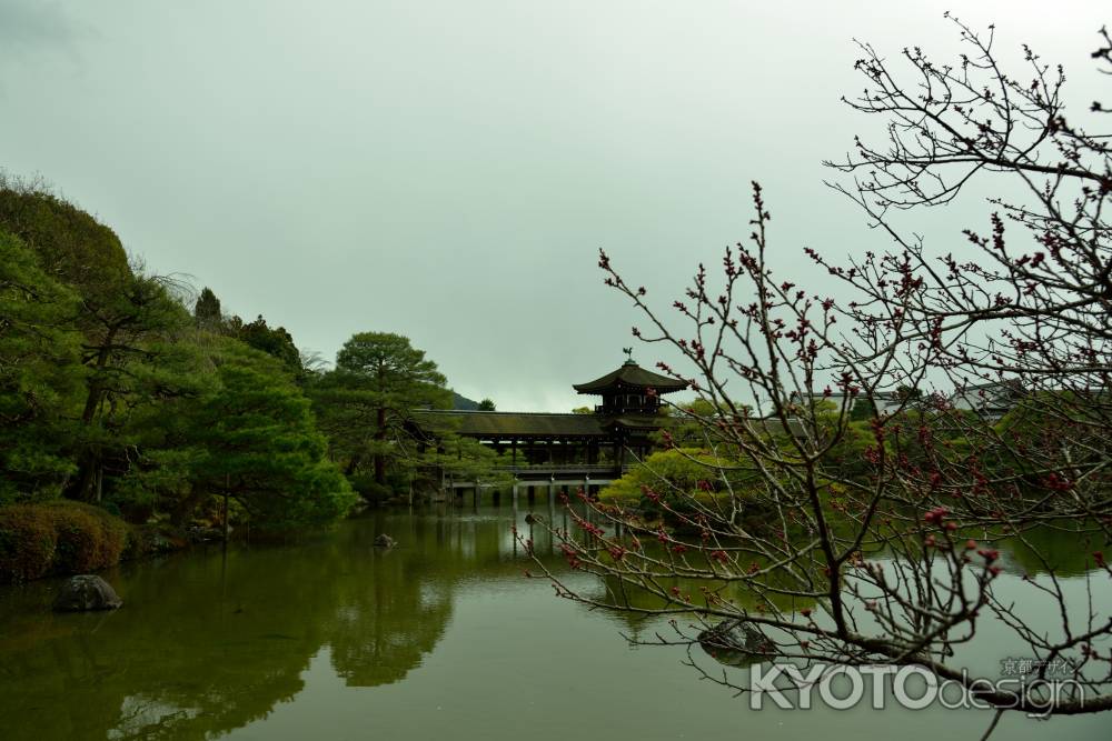 梅はもう少し・・・