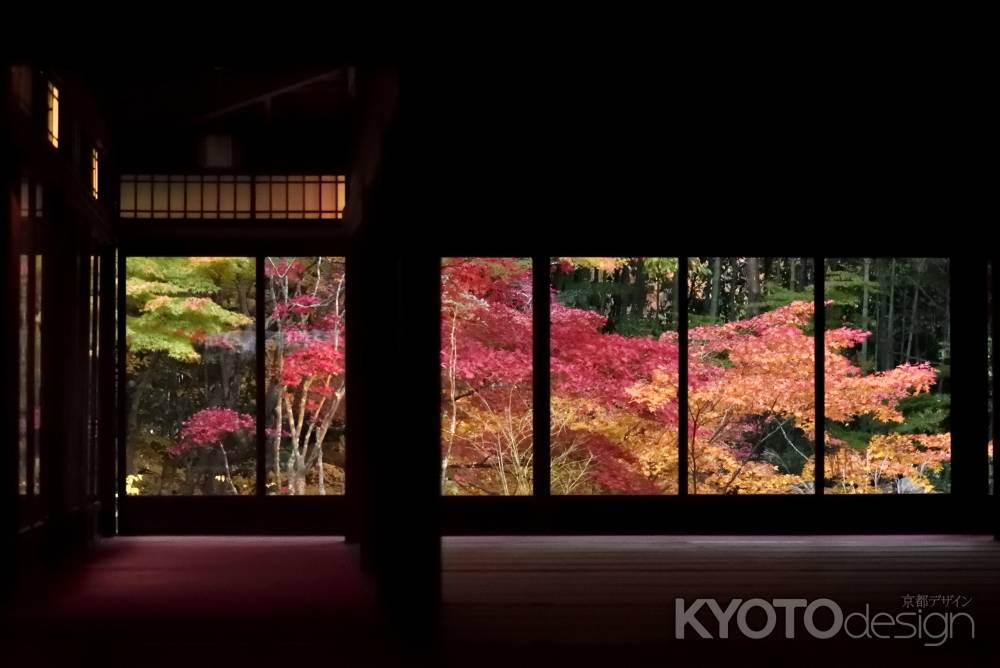 京都の紅葉