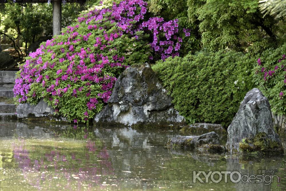 城南宮の躑躅（３）