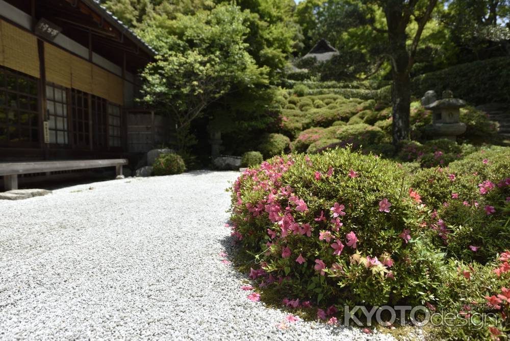 金福寺・皐月（３）