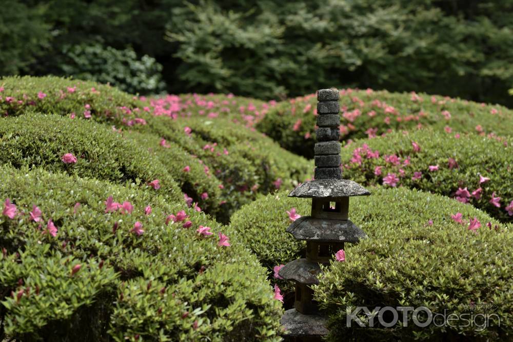 詩仙堂・皐月（５）