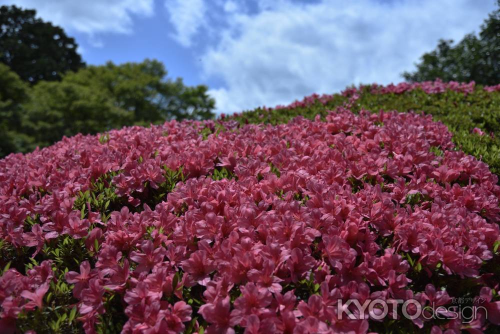 詩仙堂・皐月（１２）