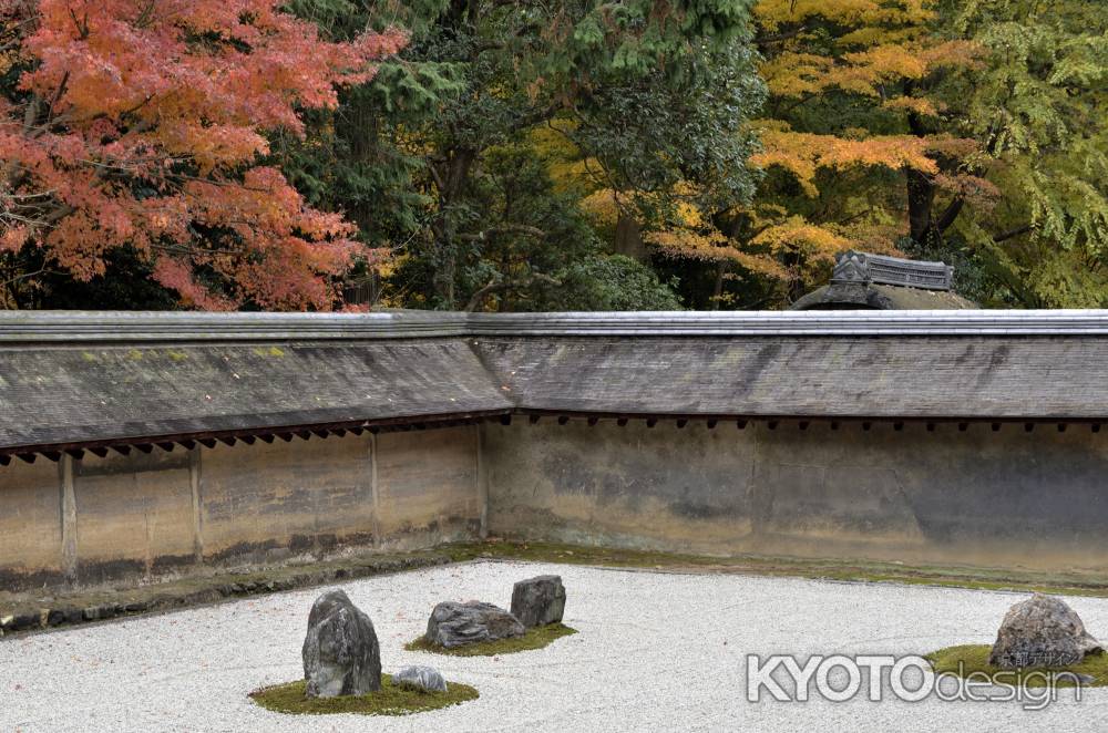 龍安寺・紅葉２０１７（２）