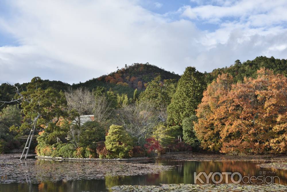 龍安寺・紅葉２０１７（１７）