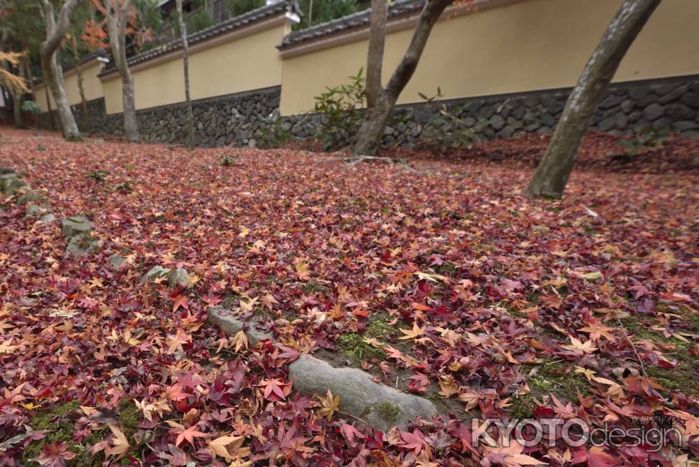 地蔵院・紅葉２０１７（１０）