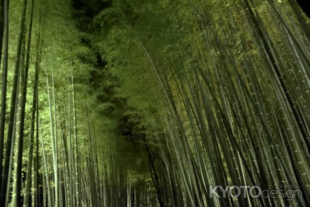 嵐山花灯路２０１７（５）