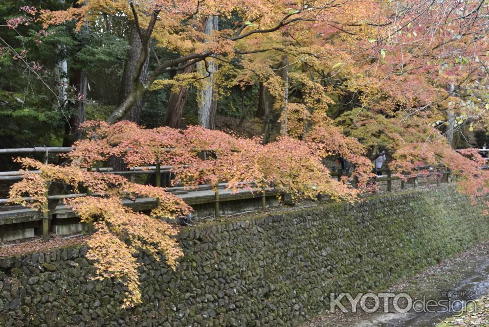 北野天満宮御土居２０１７（６）