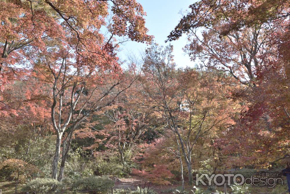 宝筐院２０１７（３）