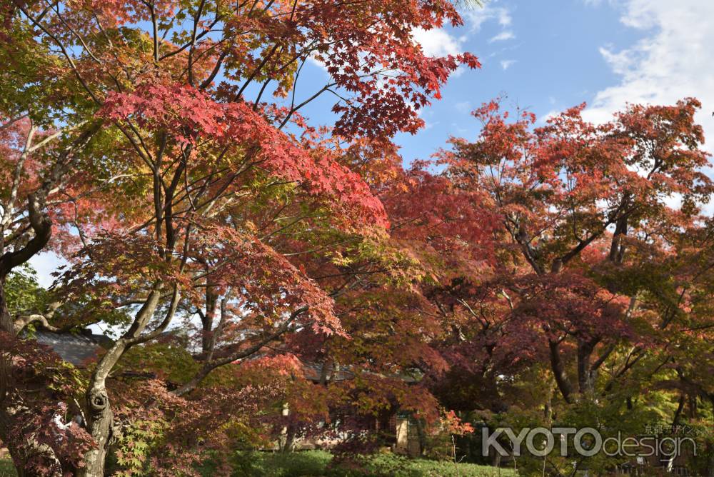宝厳院2017（１）