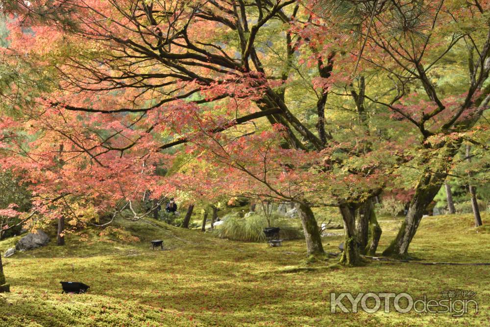 宝厳院2017（３）
