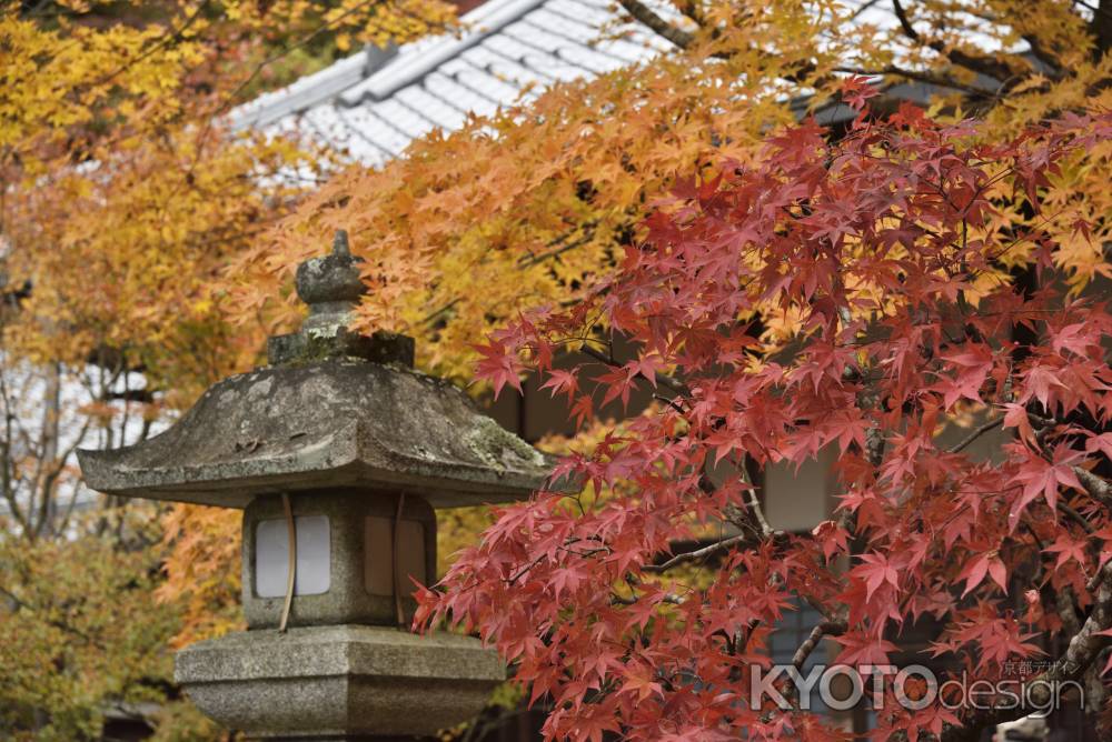 南禅寺・紅葉２０１７（１５）