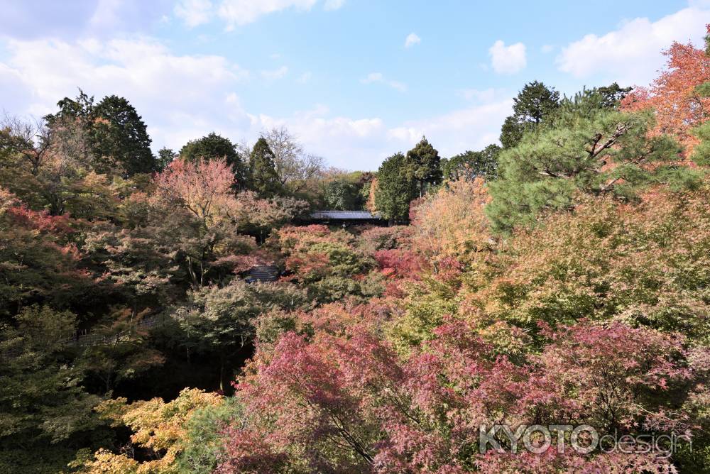 東福寺・紅葉２０１７（７）