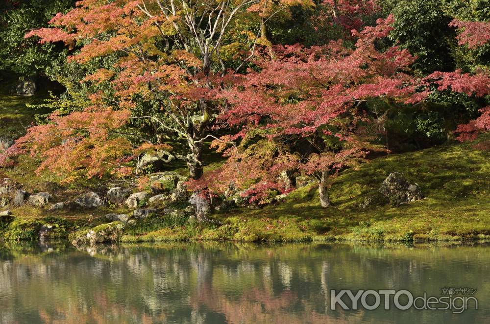 天龍寺・紅葉２０１７（６）