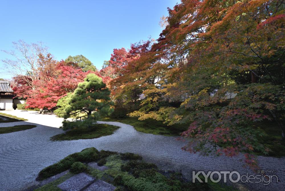 天授庵・紅葉２０１７（３）