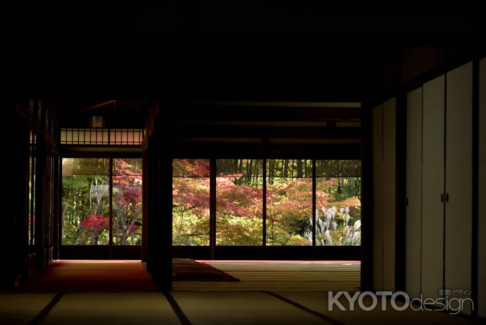 天授庵・紅葉２０１７（４）