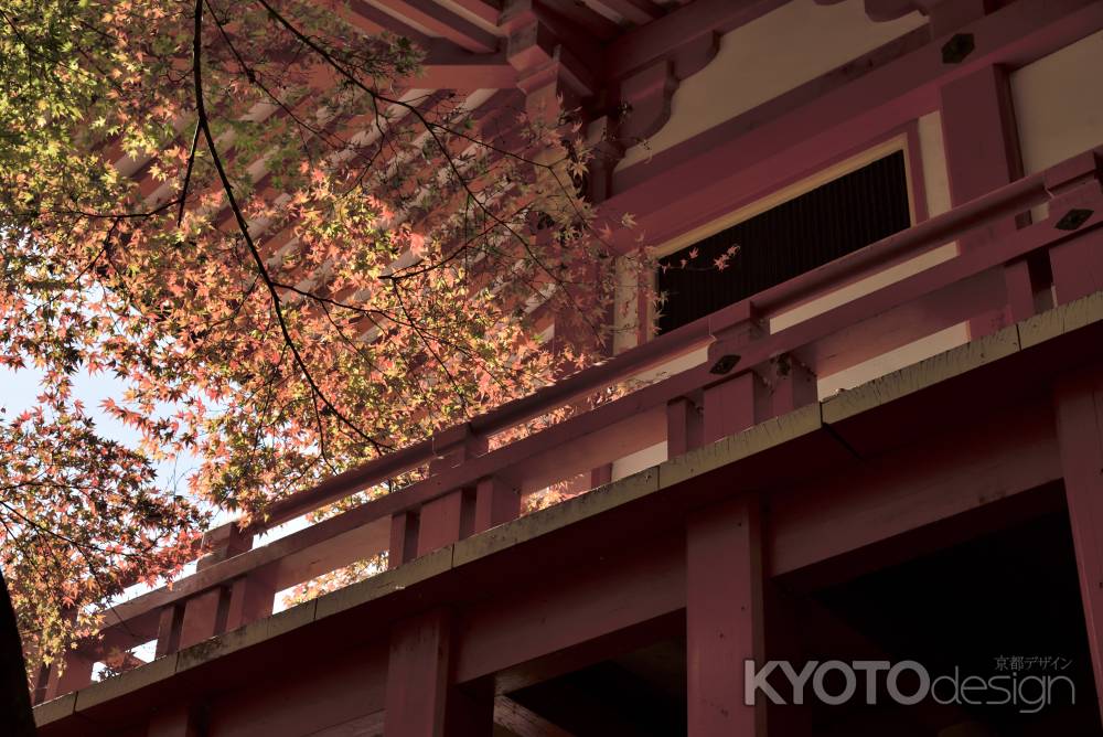 醍醐寺・紅葉２０１７（４）